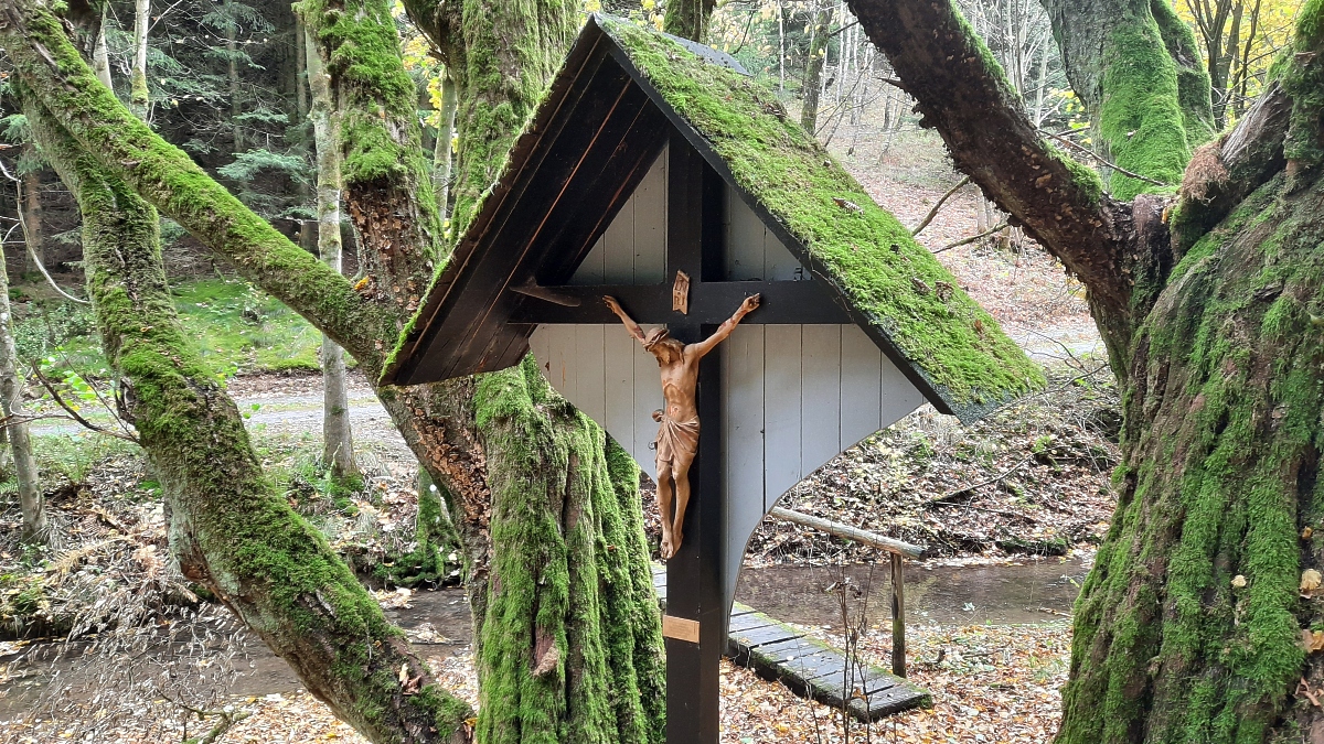 Im Bachtal kurz hinter Linneper-Hütte