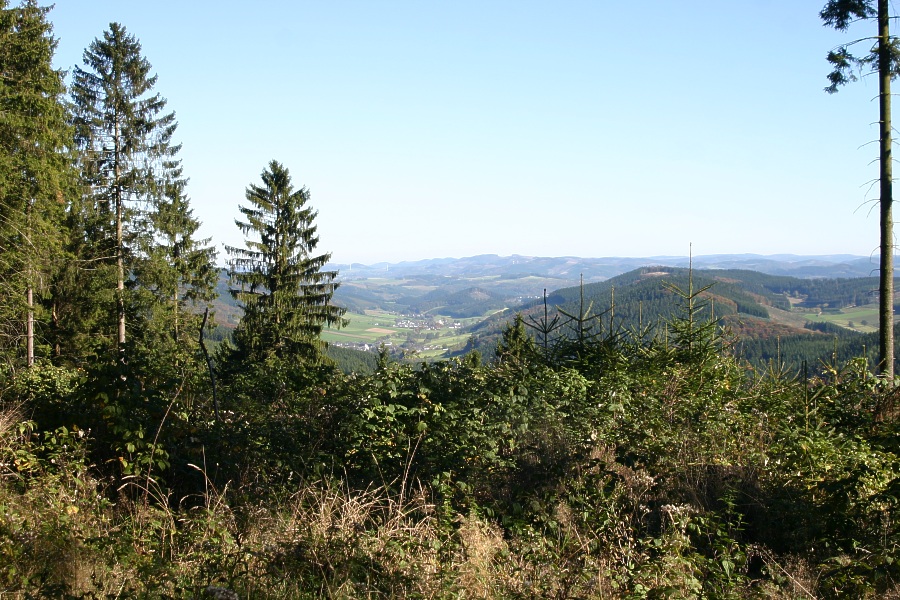 Blick vom Kohlhölzchen über das Salweytal