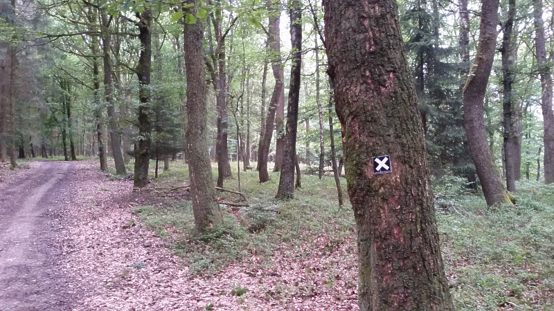 Immer im Blick: Wanderzeichen des Sauerländischen Gebirgsvereins