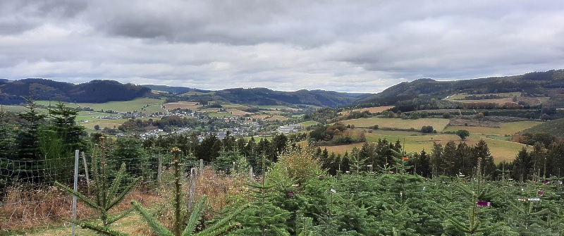 Blick über Wenholthausen: oben links Gängesberg und Beerenberg und rechts Braberg und weiter rechts hoch würde die Markshöhe folgen.