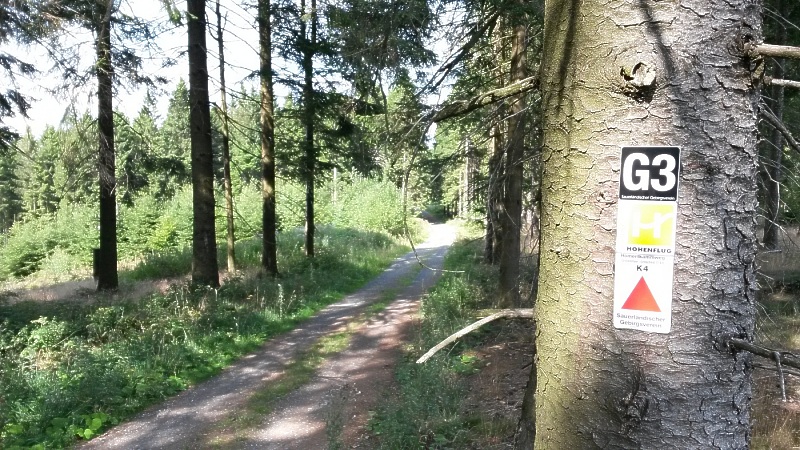 Auf dem Weg vom Estenberg zur Homert