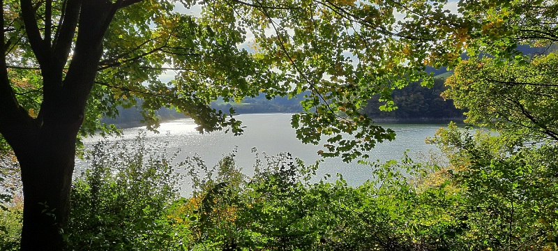 Auf dem Uferrandweg des Hennesee