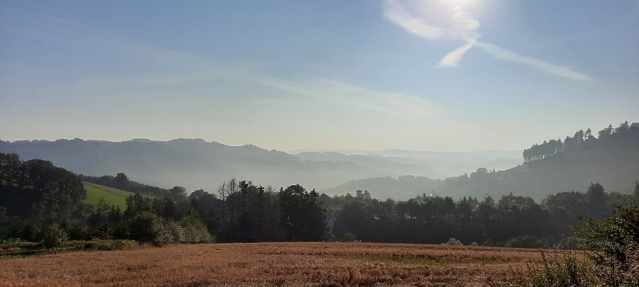 Der Blick Richtung Wennetal frühmorgens am ersten Anstieg, am Schoneberg