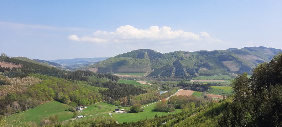 Blick über das Wennetal und den Esmeckestausee hinauf zum Winnberge und Braberg