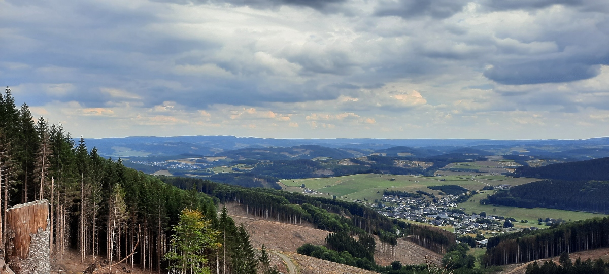 Blick auf Niedersalwey