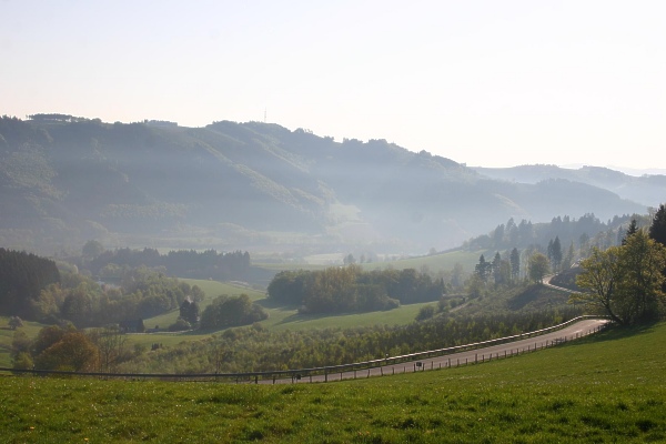 Schlussanstieg von Wenholthausen rauf nach Grevenstein, Blick über das Wennetal