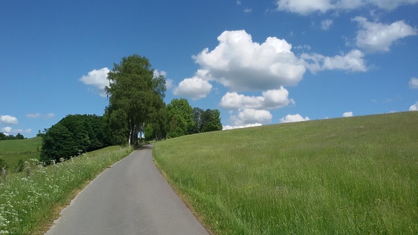  Auf schmalen Wegen von Büemke hoch nach Büenfeld 